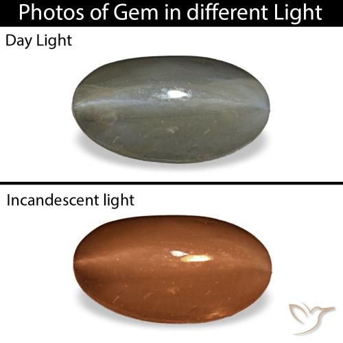 1.01克拉天然灰色Cat's Eye Alexandrite，椭圆形切割，7.8×4.3毫米，不透明