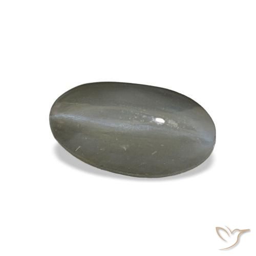 1.01克拉天然灰色Cat's Eye Alexandrite，椭圆形切割，7.8×4.3毫米，不透明