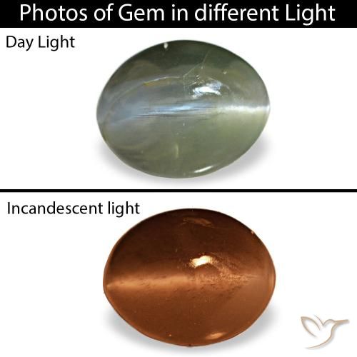 0.64克拉灰色 Cat's Eye Alexandrite, 椭圆形, 不透明