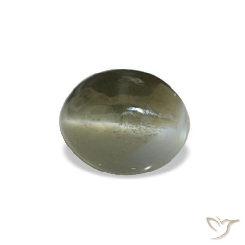 0.64克拉天然灰色Cat's Eye Alexandrite，椭圆形切割，5.4×4.3毫米，不透明