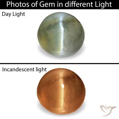 0.60克拉天然绿色Cat's Eye Alexandrite，椭圆形切割，4.8×4.5毫米，不透明