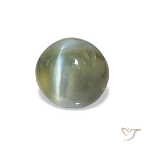 0.60克拉天然绿色Cat's Eye Alexandrite，椭圆形切割，4.8×4.5毫米，不透明
