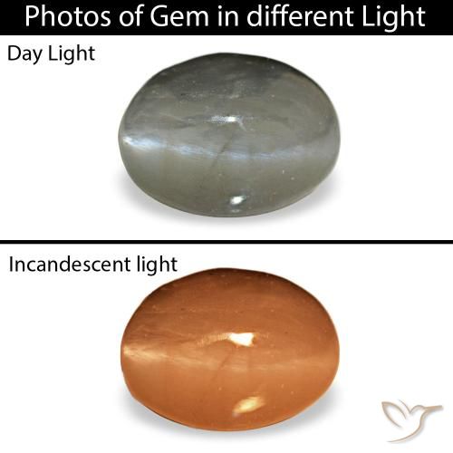 0.72克拉天然灰色Cat's Eye Alexandrite，椭圆形切割，5.5×4毫米，不透明