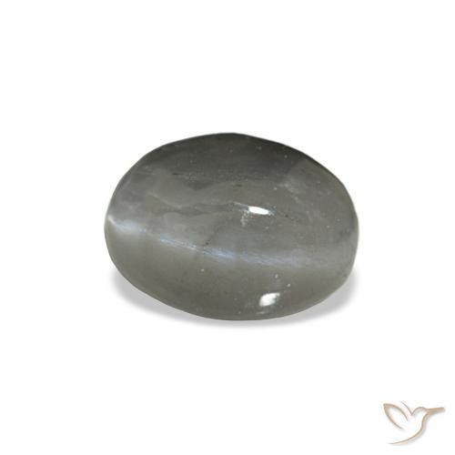 0.72克拉天然灰色Cat's Eye Alexandrite，椭圆形切割，5.5×4毫米，不透明