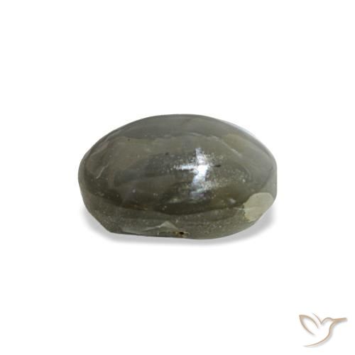 0.72克拉天然灰色Cat's Eye Alexandrite，椭圆形切割，5.5×4毫米，不透明