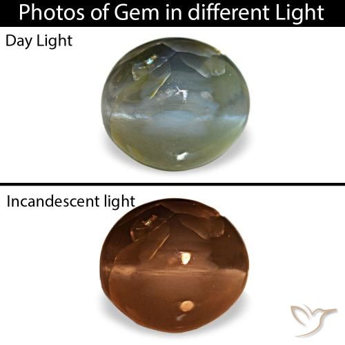 0.79克拉灰色 Cat's Eye Alexandrite, 椭圆形, 不透明
