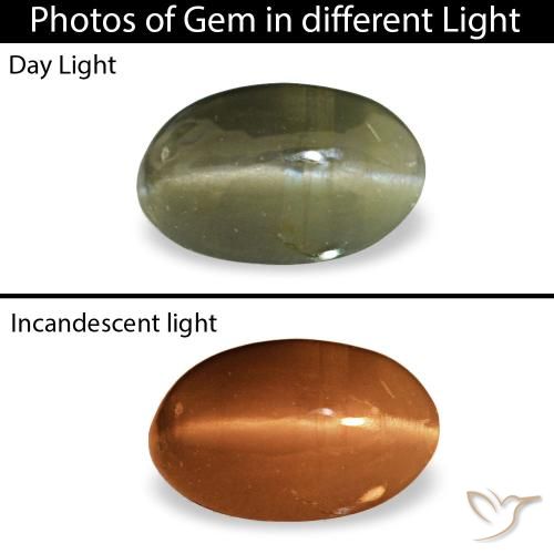0.34克拉绿色 Cat's Eye Alexandrite, 椭圆形, 不透明