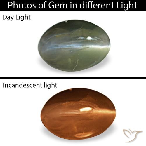0.38克拉绿色 Cat's Eye Alexandrite, 椭圆形, 不透明