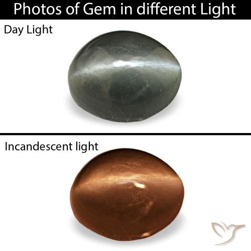 0.34克拉灰色 Cat's Eye Alexandrite, 椭圆形, 不透明