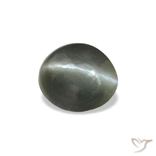 0.34克拉天然灰色Cat's Eye Alexandrite，椭圆形切割，4.8×3.9毫米，不透明