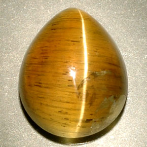 4.94克拉天然黄色Cat's Eye Apatite，透明，11.1×9毫米，透明/半透明