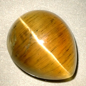 4.94克拉天然黄色Cat's Eye Apatite，透明，11.1×9毫米，透明/半透明