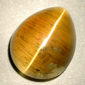 4.94克拉天然黄色Cat's Eye Apatite，透明，11.1×9毫米，透明/半透明