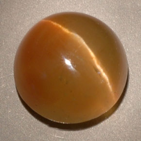 3.62克拉天然黄色Cat's Eye Apatite，透明，8.80毫米，透明/半透明