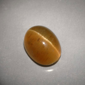 3.94克拉天然黄色Cat's Eye Apatite，透明，9.8×7.4毫米，透明/半透明