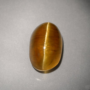 4.93克拉天然黄色Cat's Eye Apatite，透明，10.8×7.2毫米，透明/半透明