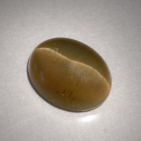 3.11克拉天然黄色Cat's Eye Apatite，椭圆形切割，9.2×7.1毫米，半透明