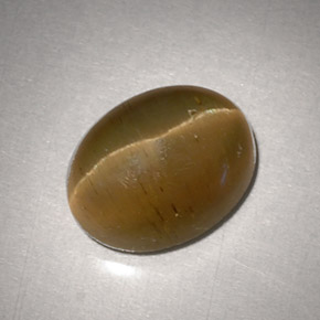 3.11克拉天然黄色Cat's Eye Apatite，椭圆形切割，9.2×7.1毫米，半透明