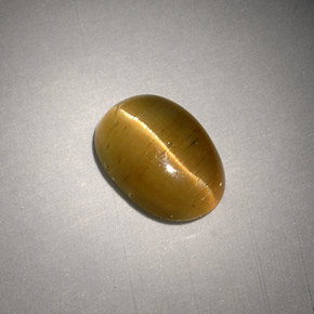 3.01克拉天然黄色Cat's Eye Apatite，椭圆形切割，9.8×7毫米，半透明