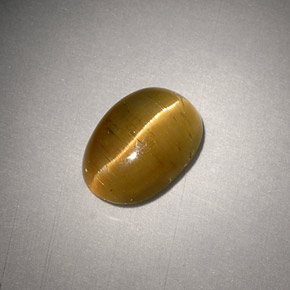 3.01克拉天然黄色Cat's Eye Apatite，椭圆形切割，9.8×7毫米，半透明