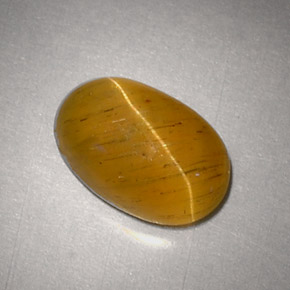 2.48克拉天然黄色Cat's Eye Apatite，椭圆形切割，9.5×6.2毫米，半透明