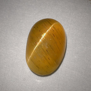 2.48克拉天然黄色Cat's Eye Apatite，椭圆形切割，9.5×6.2毫米，半透明