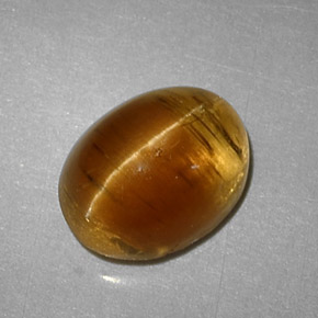 3.32克拉天然黄色Cat's Eye Apatite，椭圆形切割，9.3×7.2毫米，半透明