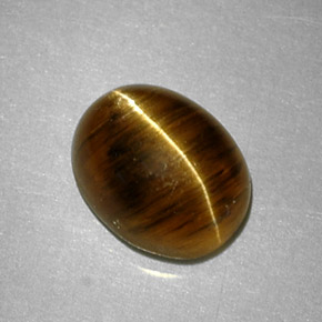 2.64克拉天然黄色Cat's Eye Apatite，椭圆形切割，8.8×7毫米，半透明