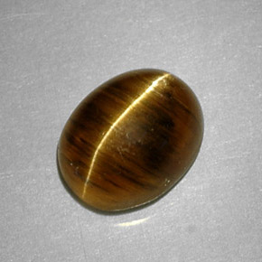 2.64克拉天然黄色Cat's Eye Apatite，椭圆形切割，8.8×7毫米，半透明