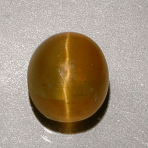 1.90克拉天然黄色Cat's Eye Apatite，椭圆形切割，6.9×6.2毫米，半透明