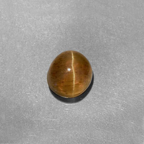 1.61克拉天然黄色Cat's Eye Apatite，椭圆形切割，6.2×5.7毫米，半透明