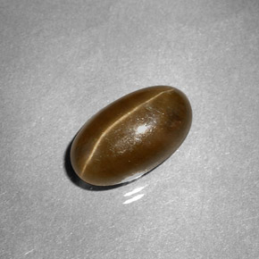 3.58克拉天然黄色Cat's Eye Apatite，椭圆形切割，10.7×6.2毫米，半透明