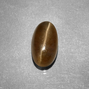 3.58克拉天然黄色Cat's Eye Apatite，椭圆形切割，10.7×6.2毫米，半透明