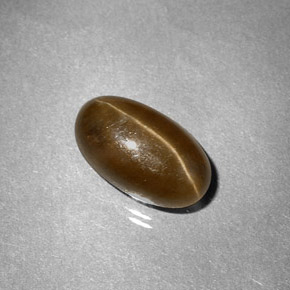 3.58克拉天然黄色Cat's Eye Apatite，椭圆形切割，10.7×6.2毫米，半透明
