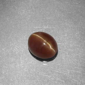 1.47克拉天然黄色Cat's Eye Apatite，椭圆形切割，7×5.7毫米，半透明