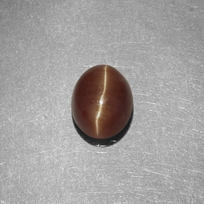 1.47克拉天然黄色Cat's Eye Apatite，椭圆形切割，7×5.7毫米，半透明
