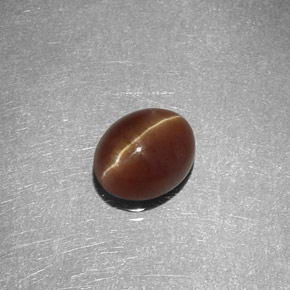 1.47克拉天然黄色Cat's Eye Apatite，椭圆形切割，7×5.7毫米，半透明