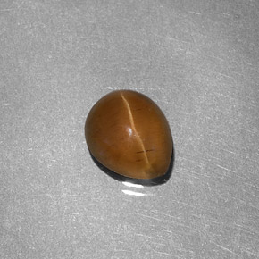 1.46克拉天然黄色Cat's Eye Apatite，梨形，7.3×6毫米，半透明