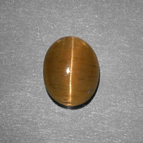 2.05克拉天然黄色Cat's Eye Apatite，椭圆形切割，8.6×7毫米，半透明