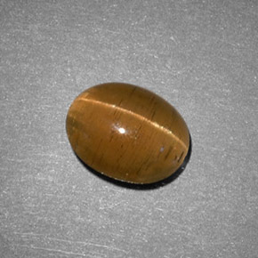 2.05克拉天然黄色Cat's Eye Apatite，椭圆形切割，8.6×7毫米，半透明