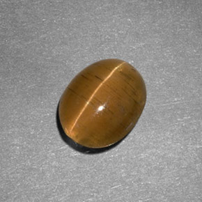 2.05克拉天然黄色Cat's Eye Apatite，椭圆形切割，8.6×7毫米，半透明