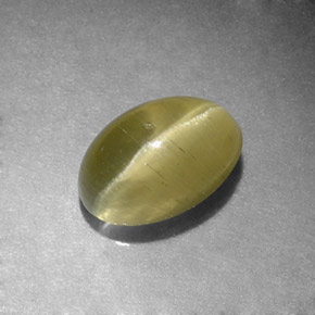 1.31克拉天然绿色Cat's Eye Apatite，椭圆形切割，7.2×4.9毫米，半透明