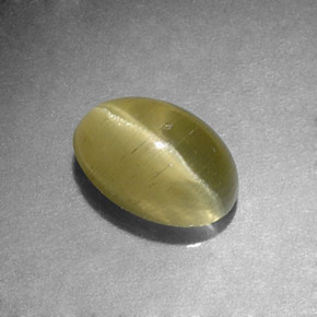 1.31克拉天然绿色Cat's Eye Apatite，椭圆形切割，7.2×4.9毫米，半透明
