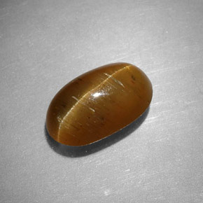 2.44克拉天然黄色Cat's Eye Apatite，椭圆形切割，9.7×5.9毫米，半透明