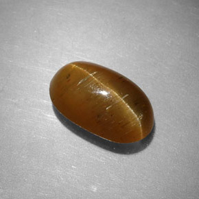 2.44克拉天然黄色Cat's Eye Apatite，椭圆形切割，9.7×5.9毫米，半透明