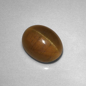 2.85克拉天然黄色Cat's Eye Apatite，透明，8.7×6.6毫米，透明/半透明