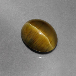 1.87克拉天然绿色Cat's Eye Apatite，透明，7.9×6.5毫米，透明/半透明