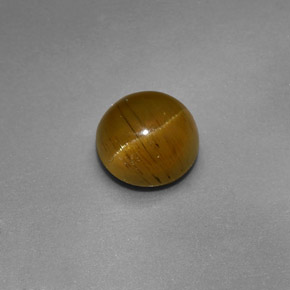1.47克拉天然绿色Cat's Eye Apatite，圆形切割，6.46毫米，半透明