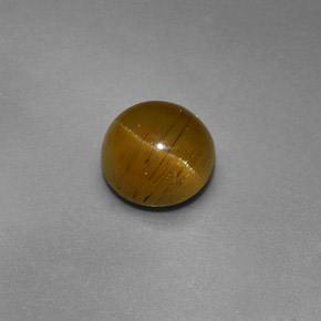 1.47克拉天然绿色Cat's Eye Apatite，圆形切割，6.46毫米，半透明