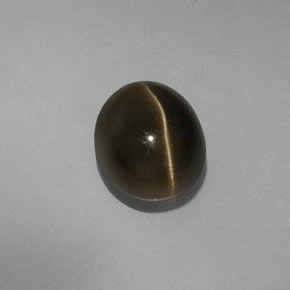 5.70克拉天然绿色Cat's Eye Apatite，椭圆形切割，10.7×8.8毫米，半透明